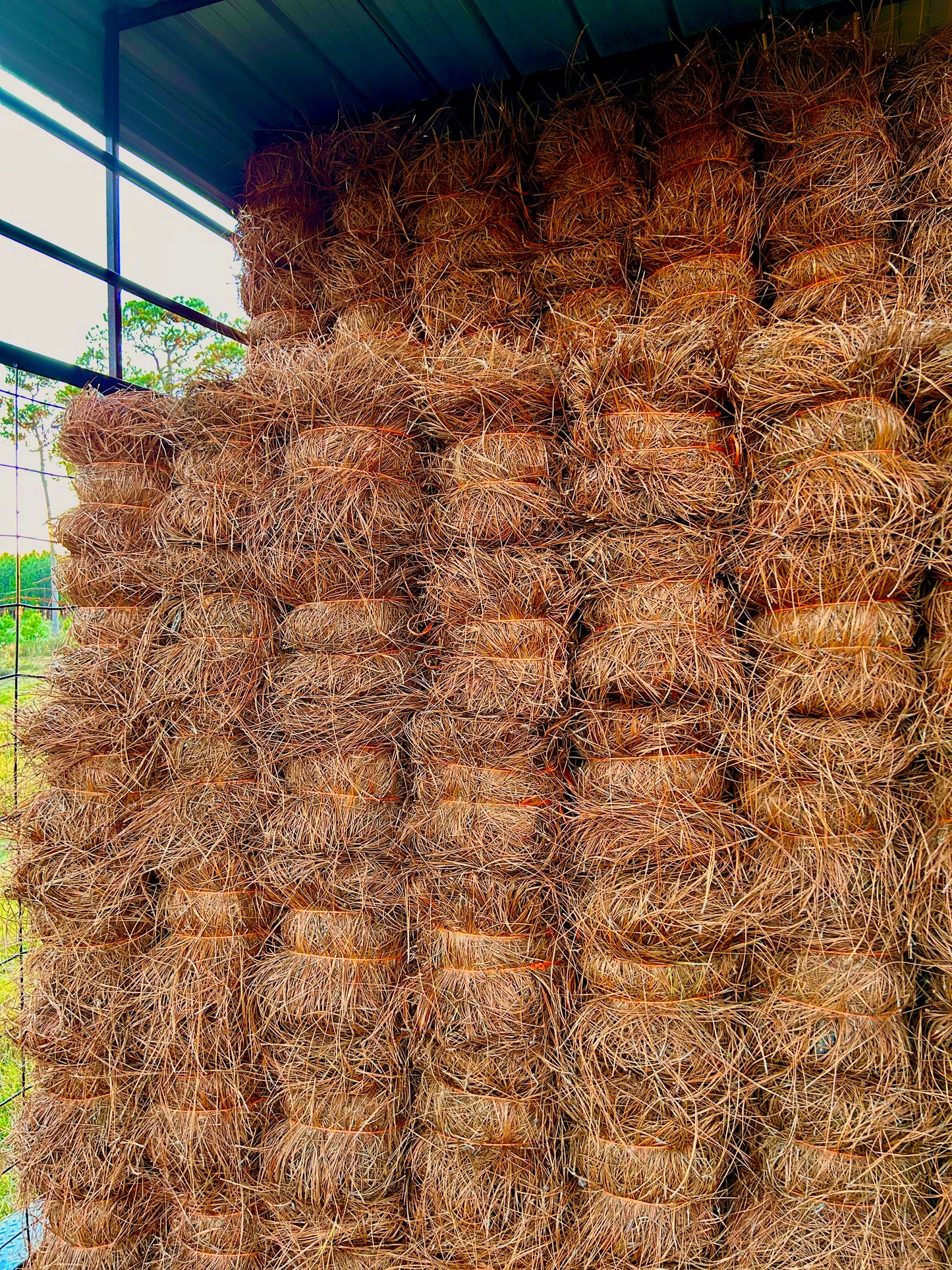 Longleaf Pine Straw Bale | BULK