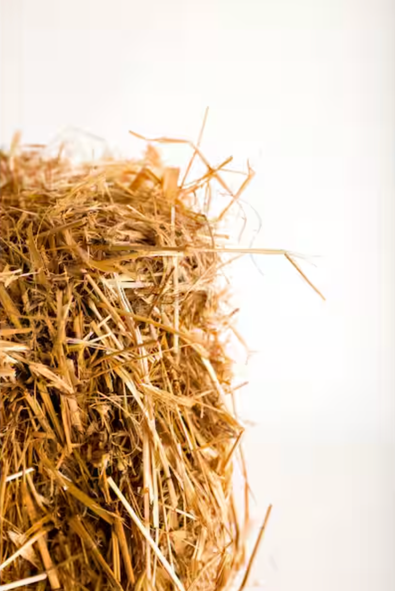 Wheat Straw Bale | BULK