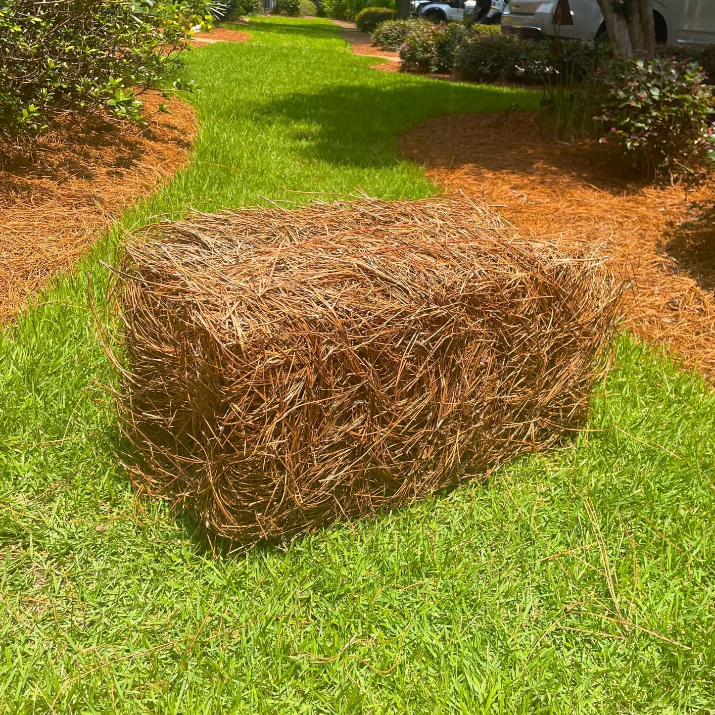 Longleaf Pine Straw Bale